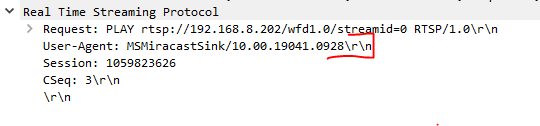 RTSP Request